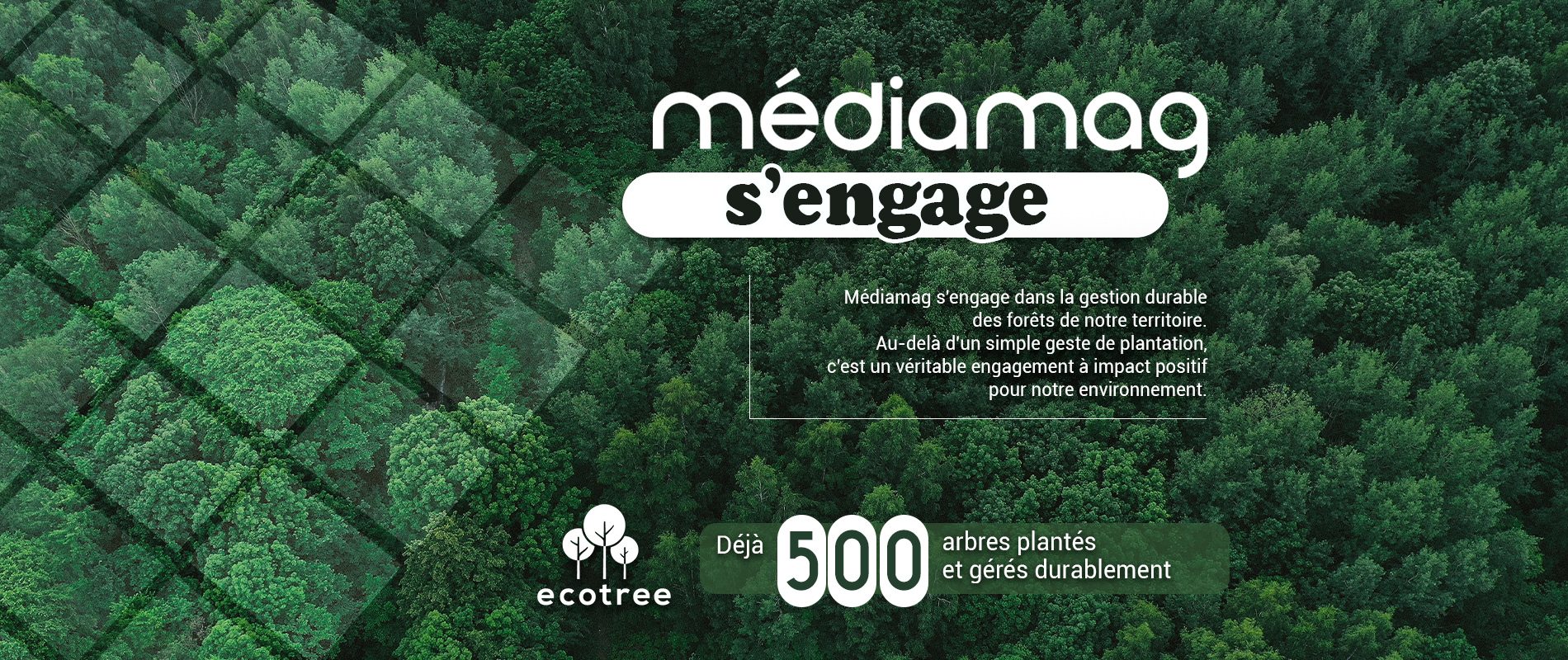 médiamag s'engage dans la gestion durable des forêts de notre territoire. Au- delà d'un simple geste de plantation, c'est un véritable engagement à impact positif pour l'environnement.